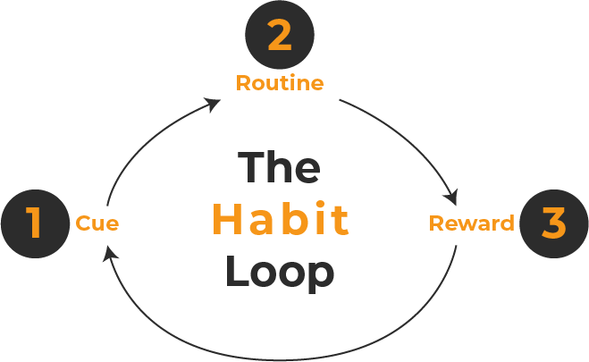 The habit loop