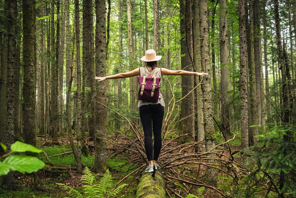 woman in forest | neurofeedback therapy for anxiety in englewood, co | neurofeedback colorado | neurofeedback englewood | neurofeedback and anxiety | neurofeedback therapy | 80125 | 80121 | 80110 Image of a woman standing in a forest on top of a fallen tree trunk stretching out her arms. Break free from the hold anxiety has on you with the help of neurofeedback therapy for anxiety in Englewood, CO.